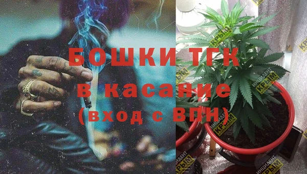 тгк Арсеньев