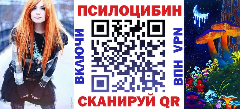 KRAKEN зеркало  Сортавала  Псилоцибиновые грибы Psilocybe 